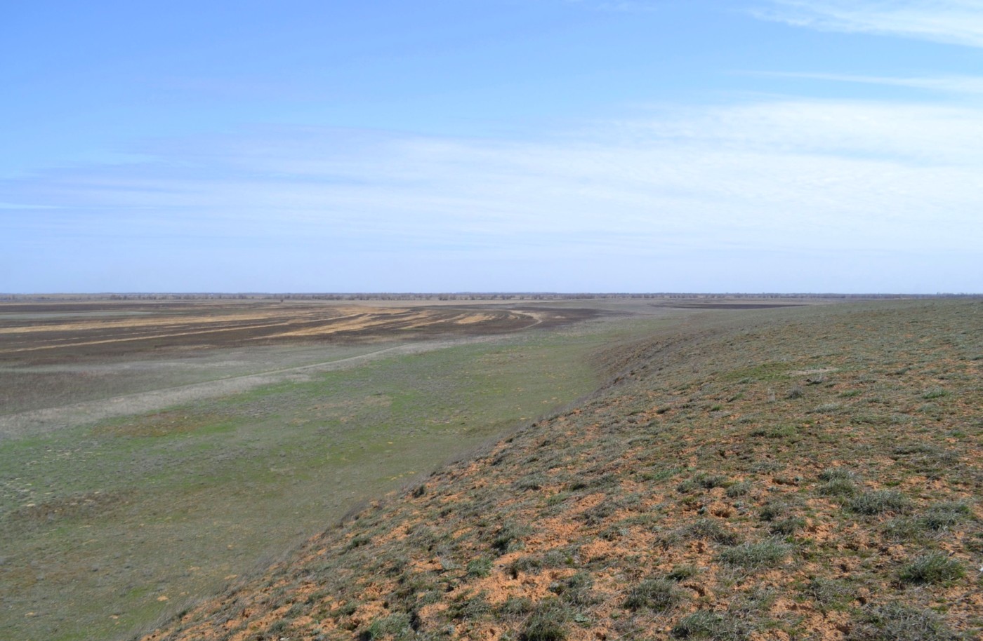 Дельта (средняя зона), изображение ландшафта.