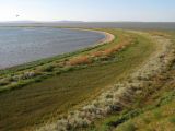 Кизилташский лиман, image of landscape/habitat.