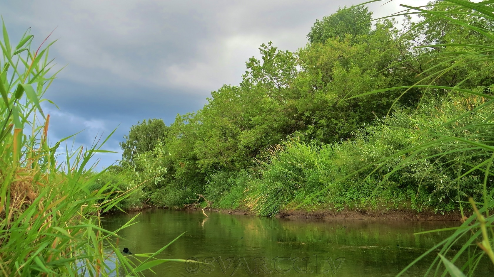 Пойма реки Малый Бачат, image of landscape/habitat.