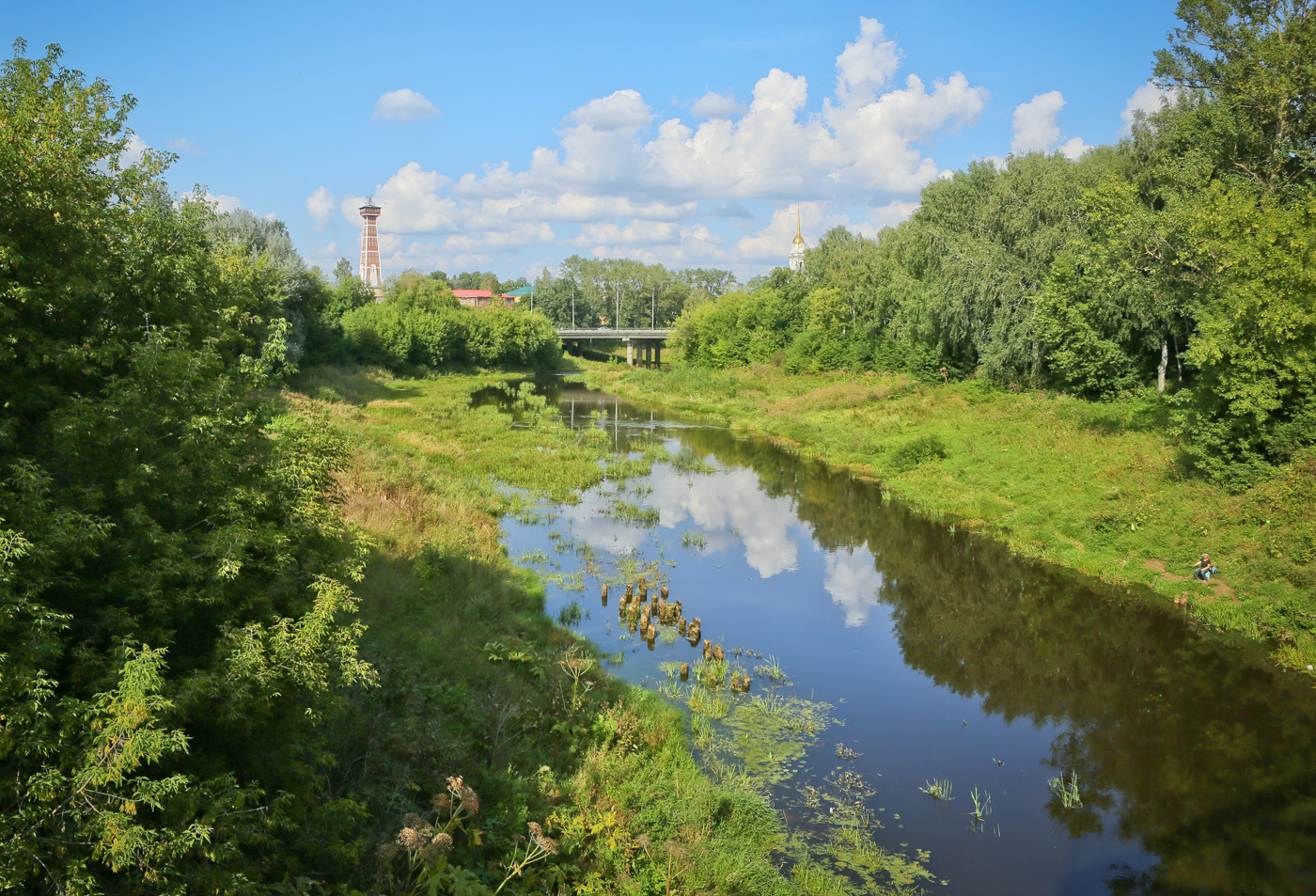 Рыбинск река черемуха