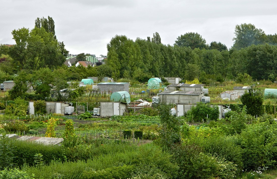 Аррас, image of landscape/habitat.