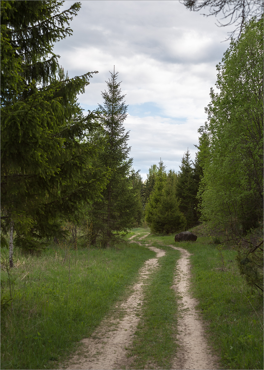 Кюрлевский карьер, image of landscape/habitat.