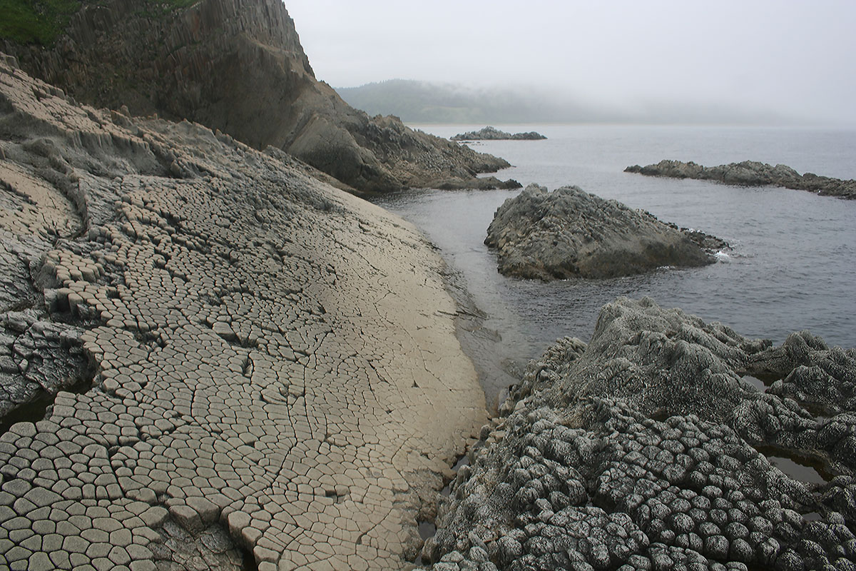 Окрестности мыса Столбчатый, image of landscape/habitat.