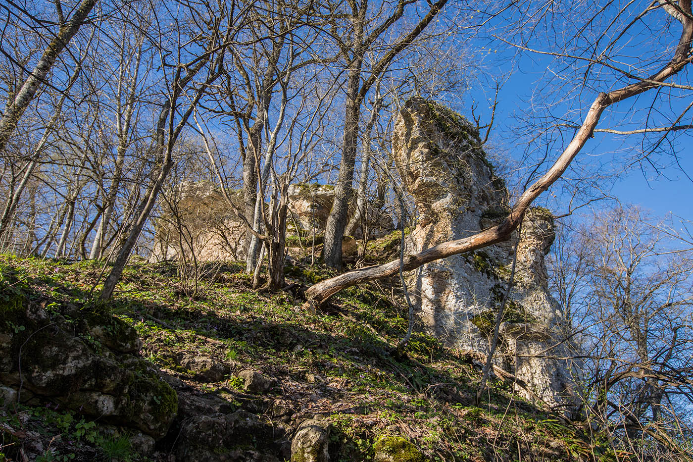 Склон горы Батарейная, image of landscape/habitat.