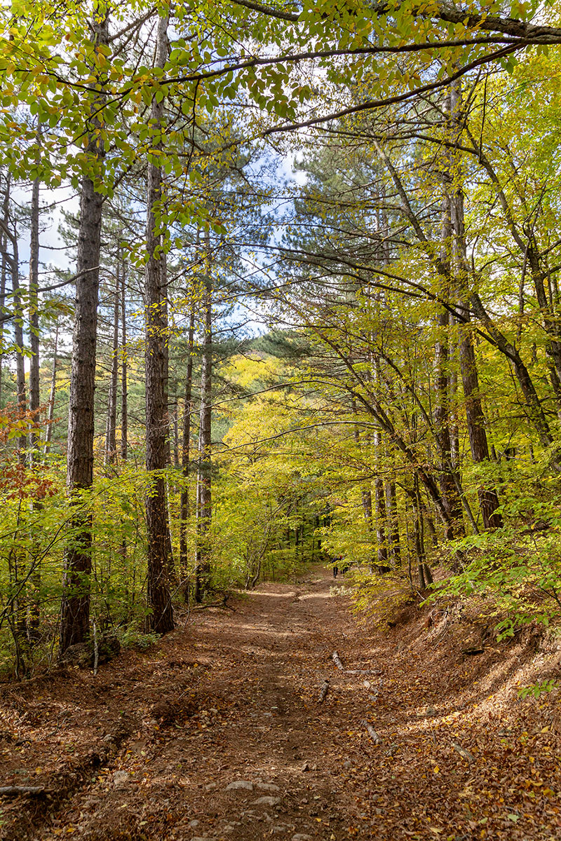 Урочище Парагильмен, image of landscape/habitat.