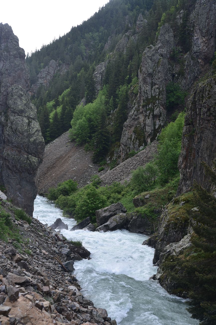 Глыбы в русле, image of landscape/habitat.