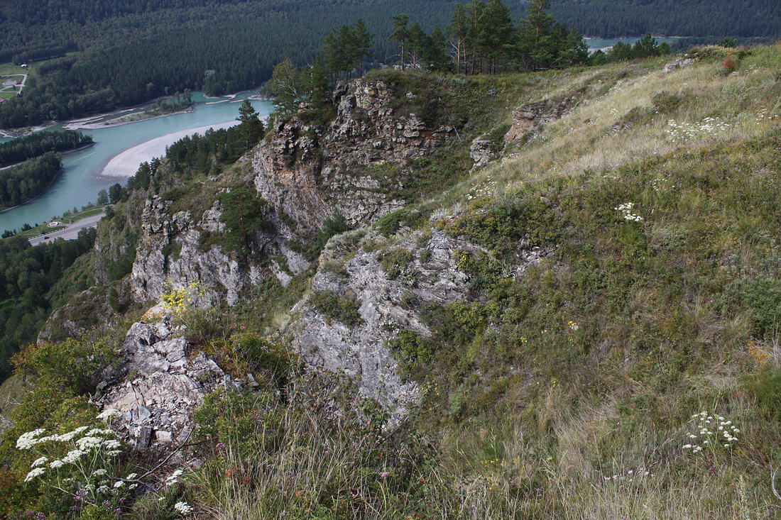 Окрестности пос. Манжерок, image of landscape/habitat.