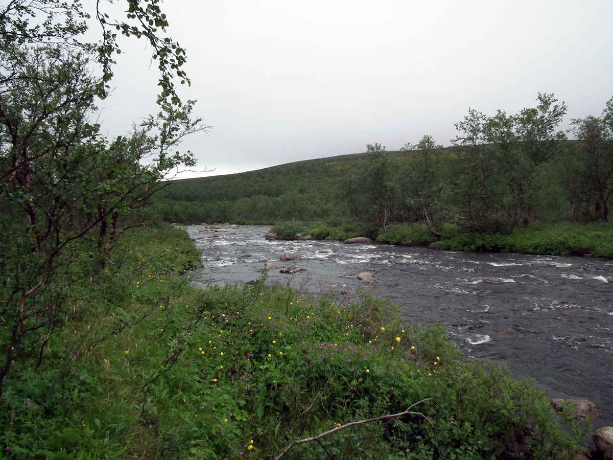Туманный, image of landscape/habitat.