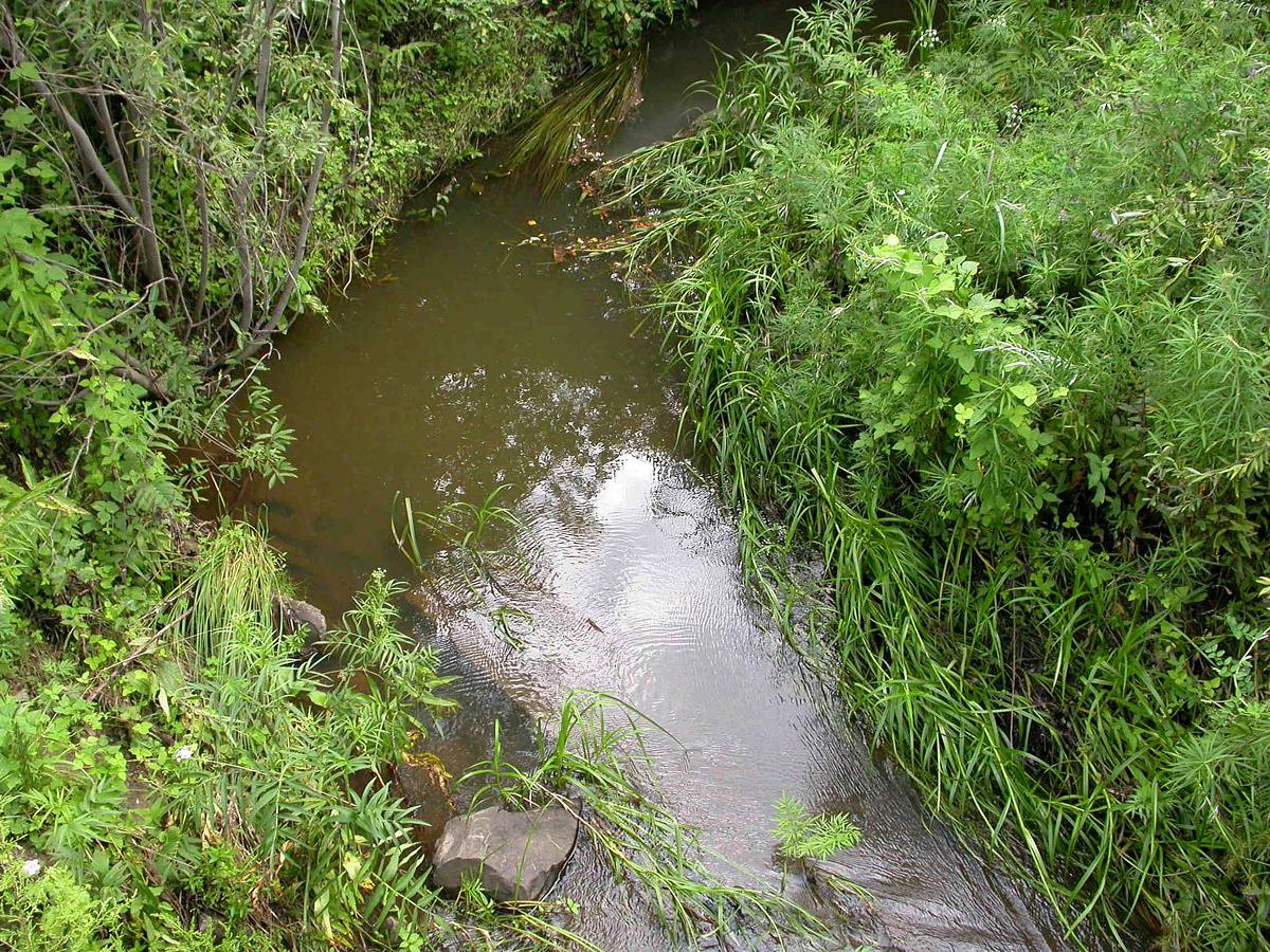 Новокачалинск, image of landscape/habitat.