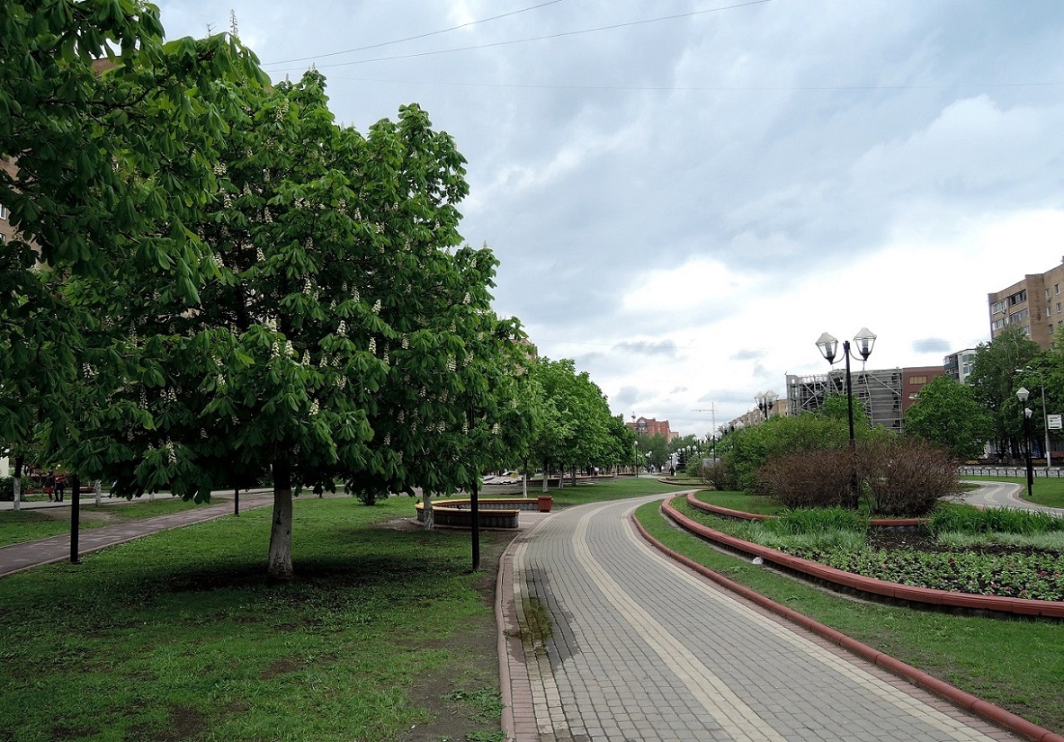 Железнодорожный, изображение ландшафта.