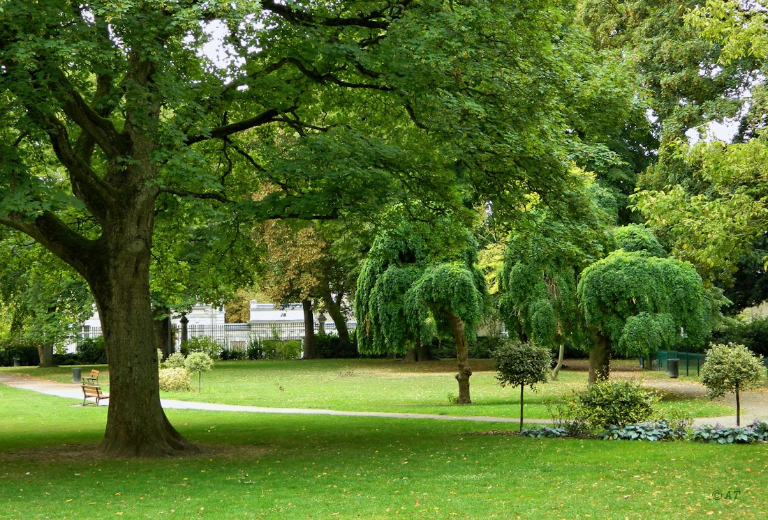 Аррас, image of landscape/habitat.