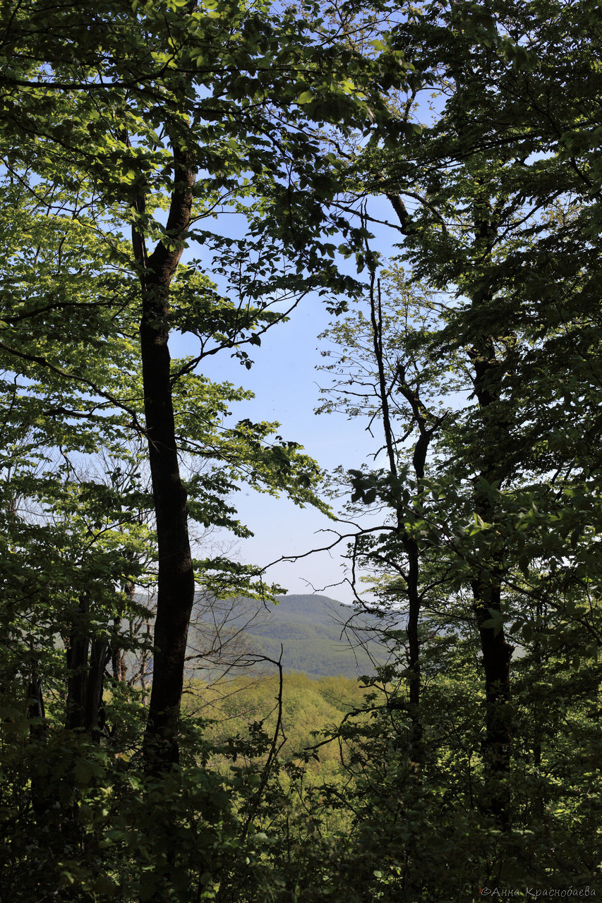 Шаумянский перевал, изображение ландшафта.