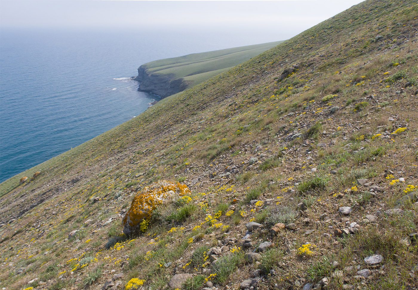 Гора Батон, image of landscape/habitat.