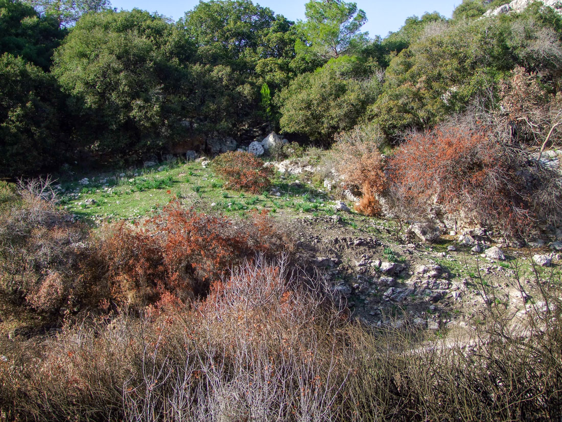 Кармель, image of landscape/habitat.