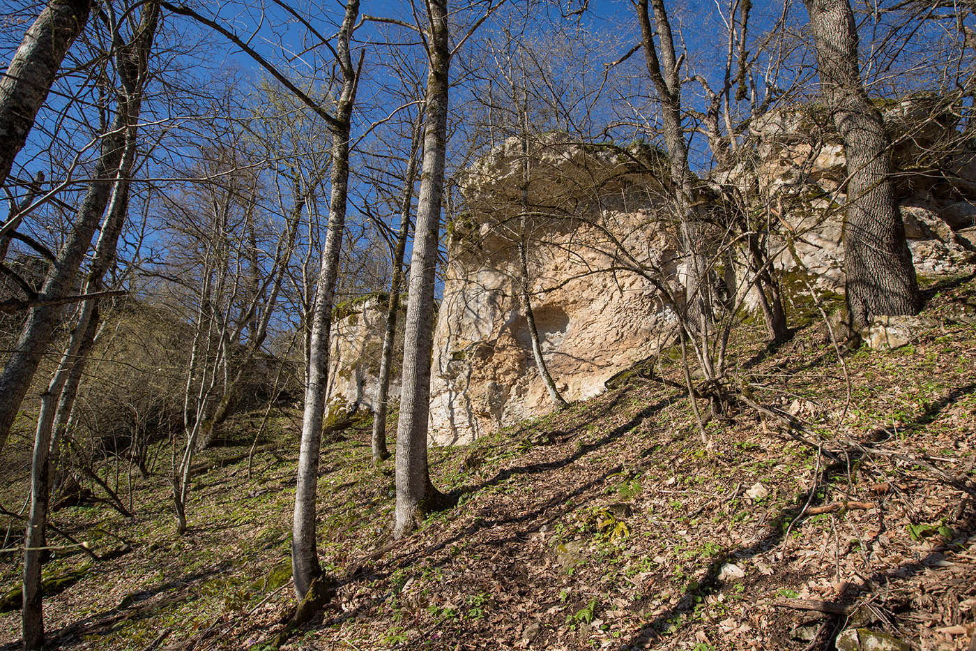 Склон горы Батарейная, image of landscape/habitat.