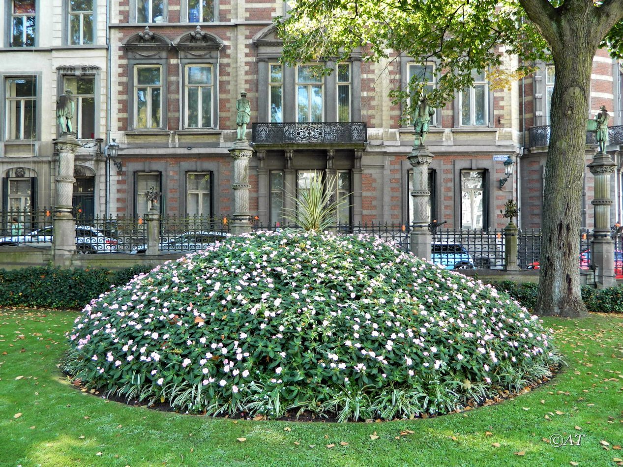 Брюссель, image of landscape/habitat.