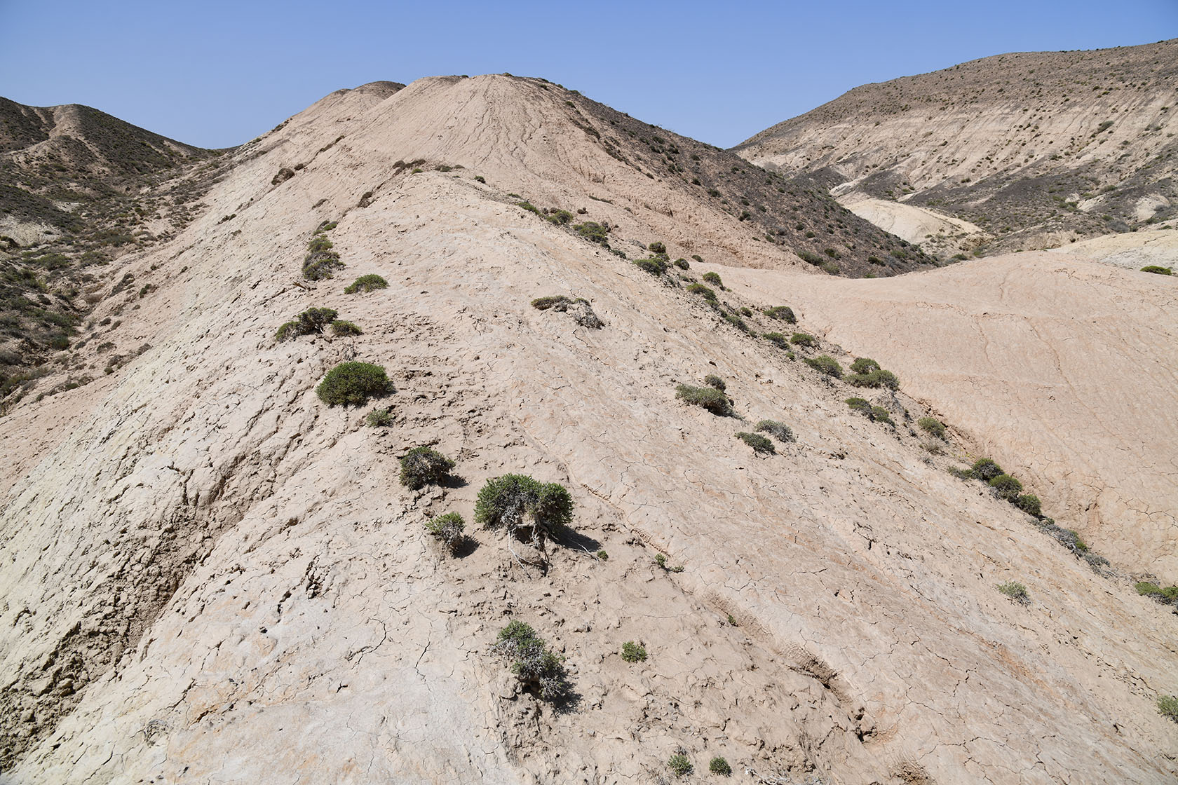 Бала-Богуты, image of landscape/habitat.