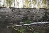 Image of landscape