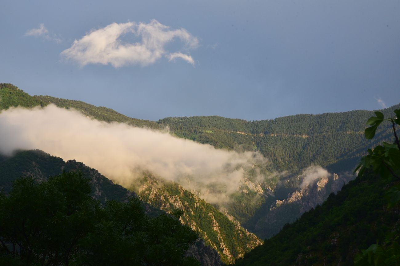 Окрестности монастыря Опиза, image of landscape/habitat.