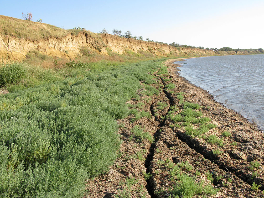 Кизилташский лиман, image of landscape/habitat.