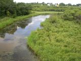 Новокачалинск, image of landscape/habitat.