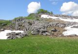 Каменное Море, image of landscape/habitat.