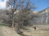 Image of landscape