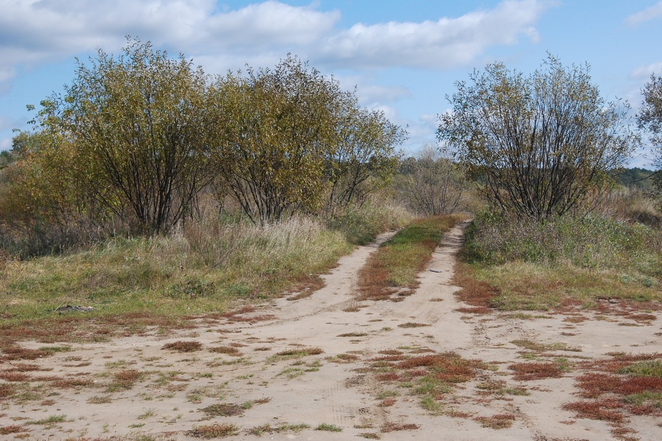 Соколова Пустынь, image of landscape/habitat.