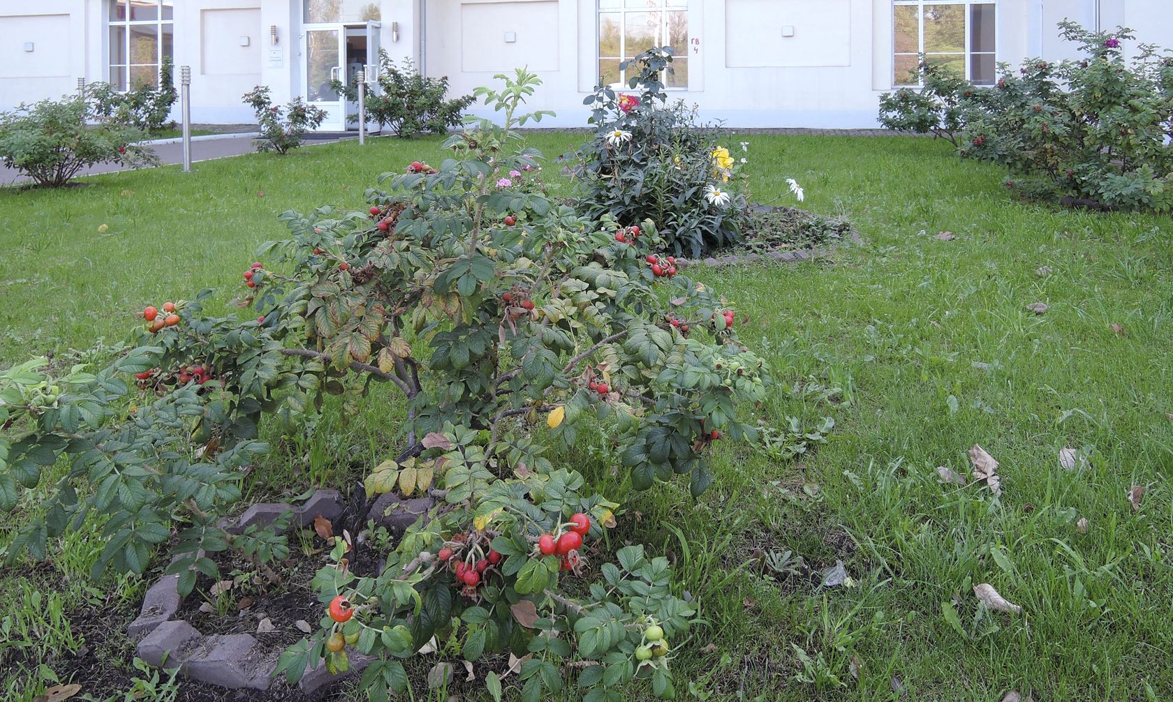 Перово (местность), image of landscape/habitat.