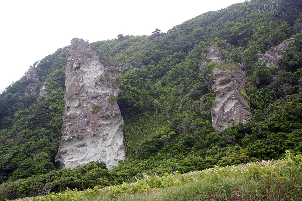 Окрестности мыса Столбчатый, image of landscape/habitat.