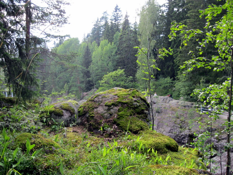 Иматра, image of landscape/habitat.