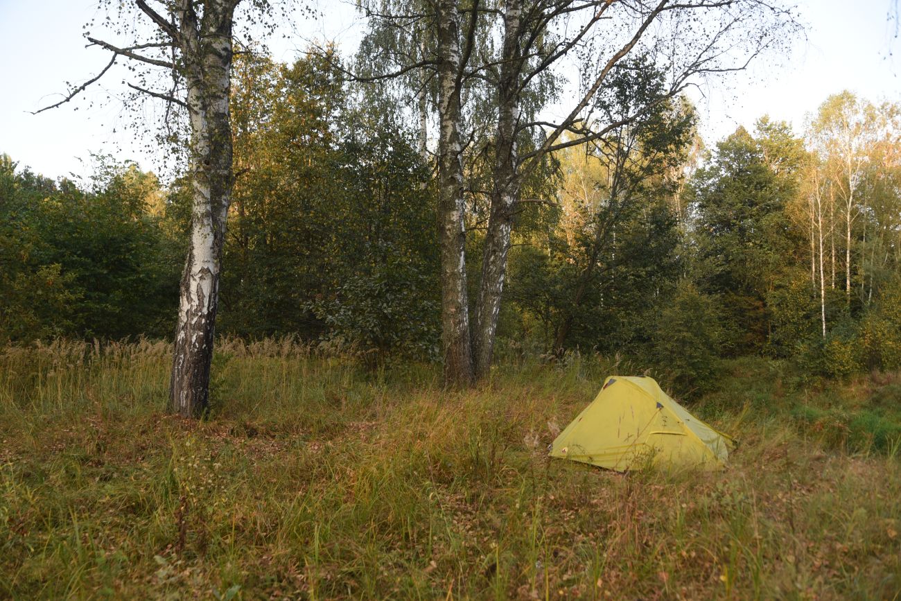 Устье ручья Черебеть, image of landscape/habitat.