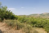 Image of landscape