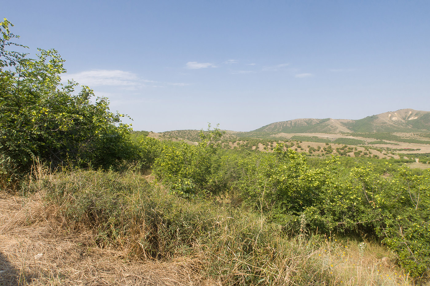 Джавандаг, image of landscape/habitat.