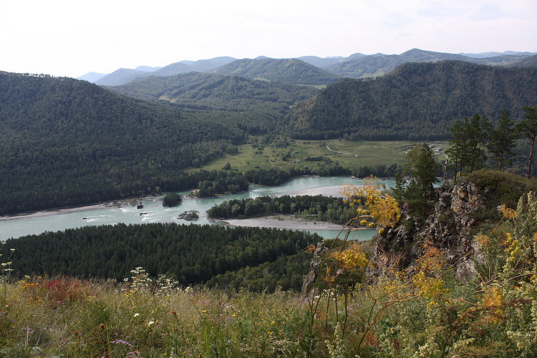 Окрестности пос. Манжерок, image of landscape/habitat.