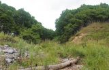 Бухта Неприметная, image of landscape/habitat.