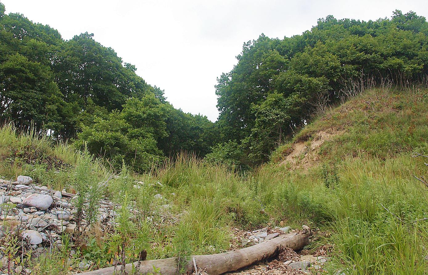 Бухта Неприметная, image of landscape/habitat.