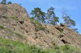 Image of landscape
