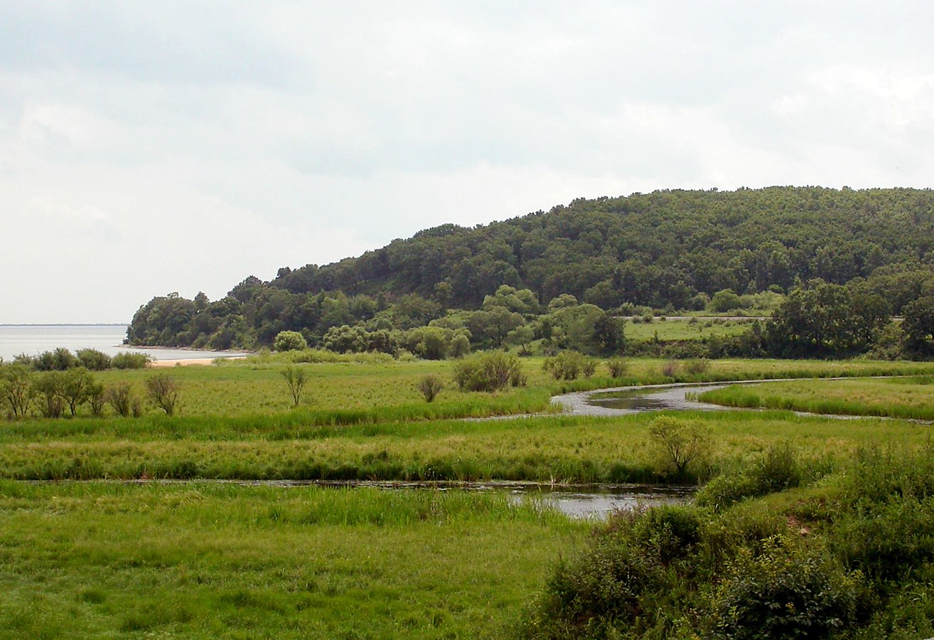 Новокачалинск, image of landscape/habitat.