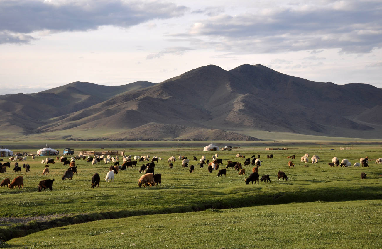 Долина реки Орхон, image of landscape/habitat.