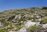 Image of landscape