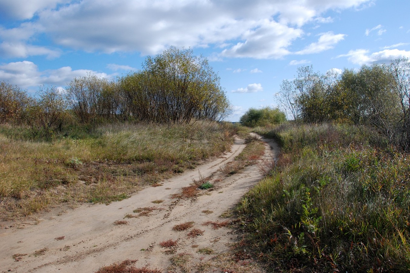 Соколова Пустынь, image of landscape/habitat.