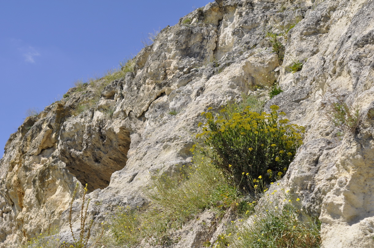 Окрестности мкр-на Пневматика, image of landscape/habitat.