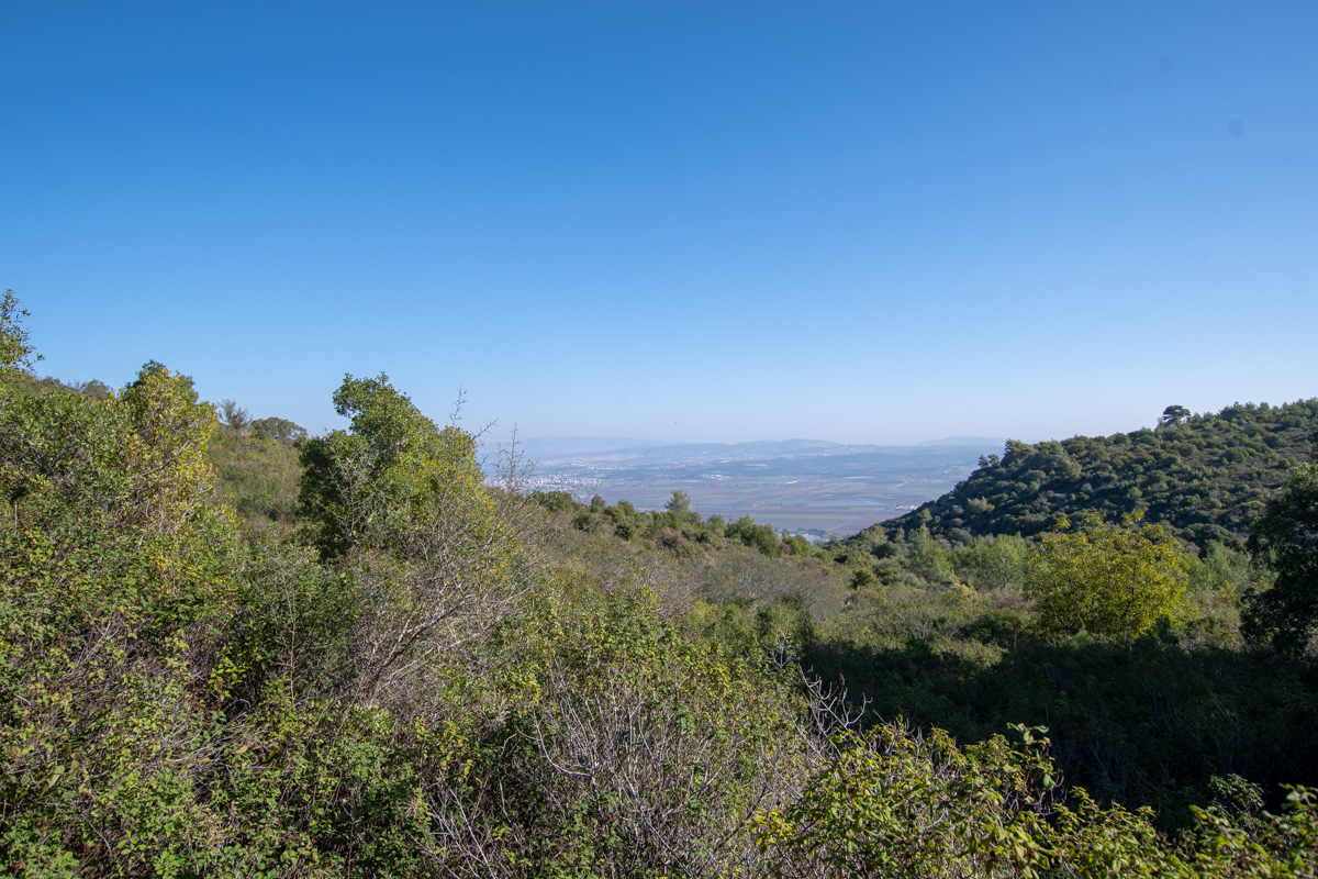 Кармель, image of landscape/habitat.