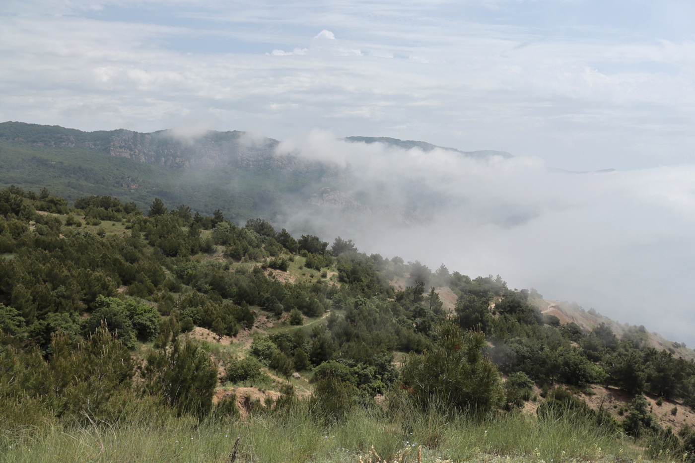 Балаклавские высоты, image of landscape/habitat.