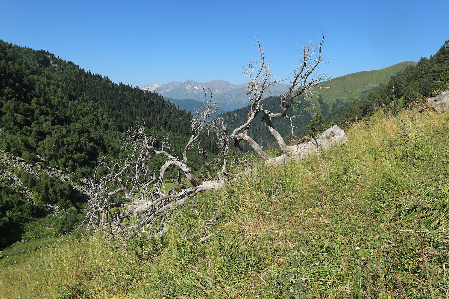 Долина реки Загедан, image of landscape/habitat.