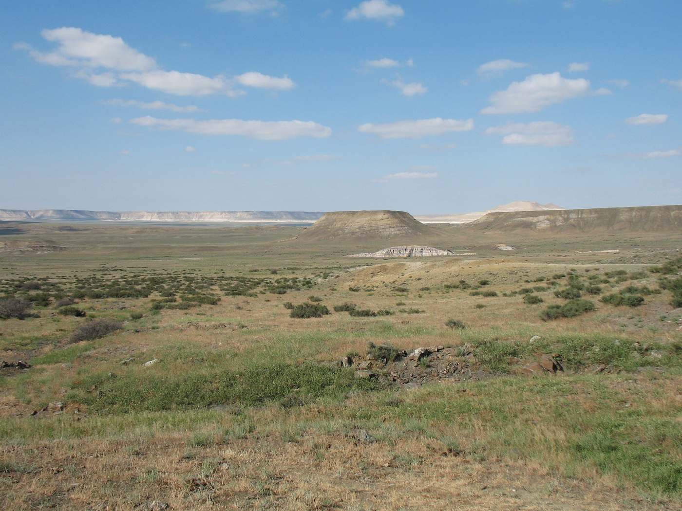 Кокала, image of landscape/habitat.