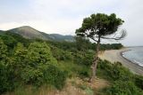 Image of landscape