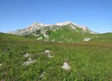 Оштен, image of landscape/habitat.