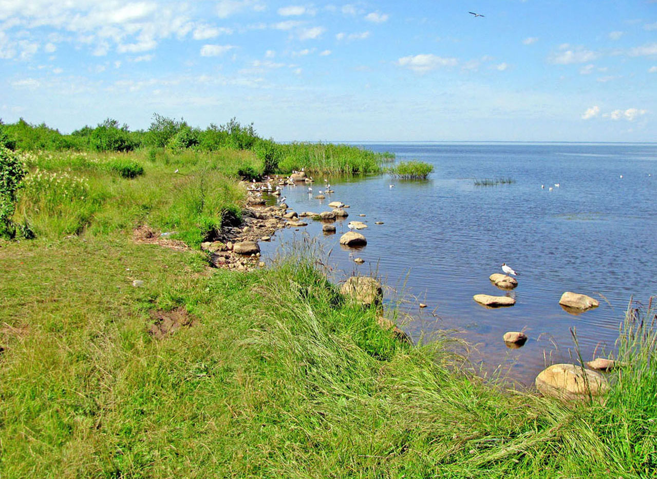 Рыбинское водохранилище, изображение ландшафта.